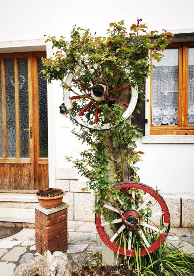 Casa Rustica Con Giardino Villa คาปริโน เวโรเนเซ ภายนอก รูปภาพ